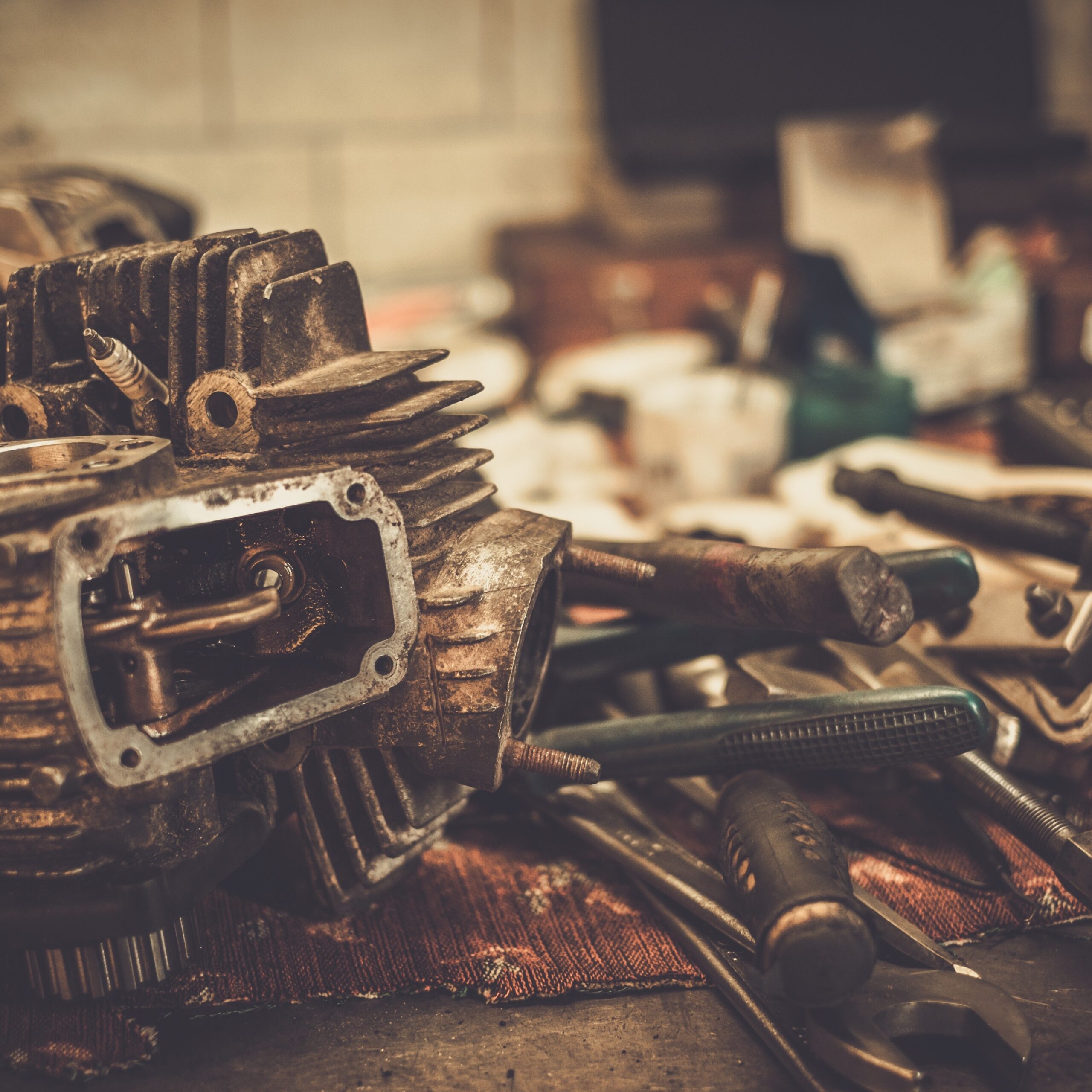 image adobe express (2) kopie